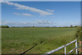 Looking across fields with a distant view of the Bowland hills