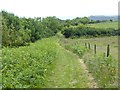 Cleveland Way north of Petard Point