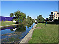 Chelmsford: Springfield Lock