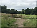 SJ8640 : Gate into dog exercise area by Jonathan Hutchins