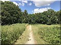 Path in Lyme Valley Park