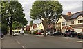 Houses, trees and cars along Green Lanes, Wylde Green, northeast Birmingham