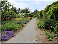 S5310 : Mount Congreve Gardens, Path in the Walled Garden by David Dixon