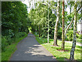 Footpath and cycleway along old railway, Haverhill