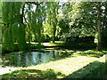 Pond, Upper Minety, Malmesbury