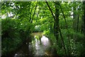 Shill Brook, Bampton, Oxon