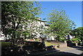 Tree-lined Clifton Place, Newport