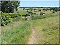 Footpath across Yeadon Banks