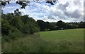 Field beside Bingletts Wood