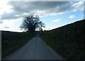 Lane west of Wykey Farm