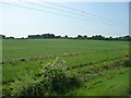 Farmland near The Lings