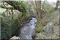 Tributary stream of the River Meavy