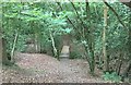 Footbridge in Coneyburrow Wood