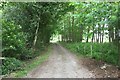 Track beside Furnace Wood