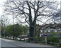 A61 looking through to Coppice Gate