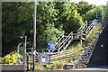 Steps at the Nursery Cutting, Girvan