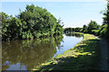 The Staffordshire & Worcestershire Canal