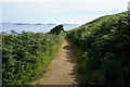 Coastal path towards Trenear