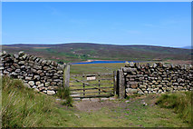 SE0455 : Gate on Hare Head Side Revisited by Chris Heaton