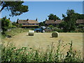 Tractor in field by Burnt House Close