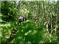 NH7276 : Strath Rory path beside the fields of Scotsburn House by Julian Paren