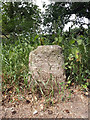 Milestone, Broad Blunsdon