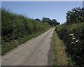 Private road and public footpath towards East Cawledge Farm