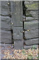 Benchmark on post in Burnley Road wall at entrance to Woodcroft Grange