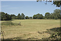 Fields from Spanker Lane