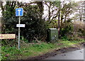 Telecoms cabinet near Ashburnham Golf Club, Burry Port