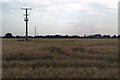 Power lines over the field