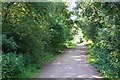 The South Staffordshire Railway Walk