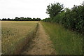 Footpath to Stoke Lyne