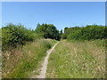 The Hillingdon Trail and Dog Rose Ramble