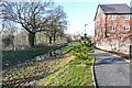 Ditch and footpath at The Ridings