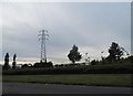 Pylon on the Roundstone Bypass Road, East Preston