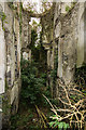 M4909 : Ireland in Ruins: Limepark House, Co. Galway (5) by Mike Searle