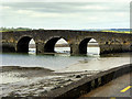 W7970 : Cork Harbour, Belvelly Bridge by David Dixon