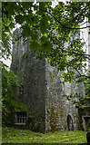 M5621 : Castles of Connacht: Dunsandle, Galway (1) by Mike Searle