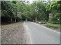 Road through the New Forest, Hale Purlieu