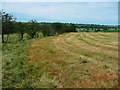 Footpath from Green Lane, Dunkeswick, to Harrogate Road, North Rigton