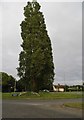 Roundabout on Bypass Road, Romsey