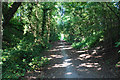 The South Staffordshire Railway Walk