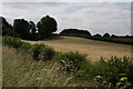 Field to the east of Garton