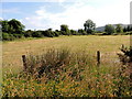 Dunbreen Townland