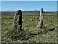 NS0361 : St Ninian's Bay Standing Stones - Isle of Bute by Raibeart MacAoidh