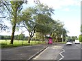 Bus shelter, Mumbles Road, Lower Sketty