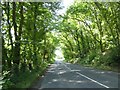 B4290 in woodland south of Llandarcy