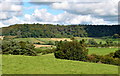 ST7396 : Countryside around North Nibley, Gloucestershire 2015 by Ray Bird