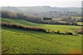 South Devon Pasture